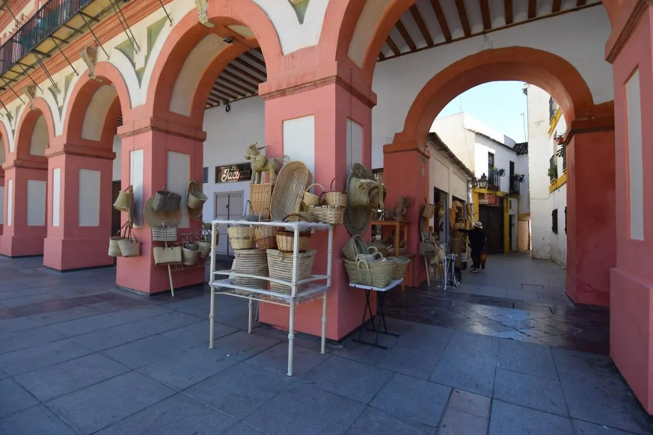 Atico Aguayos Con Parking Gratis Apartment Cordoba Spain